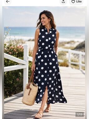 Banana Republic Navy and White Polka Dot Maxi Dress